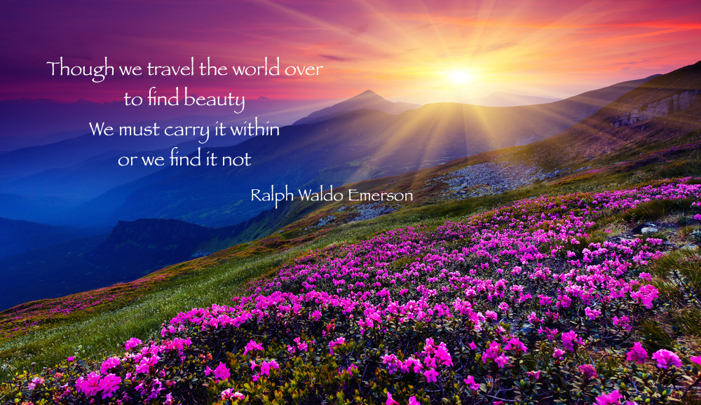 shutterstock_100149452