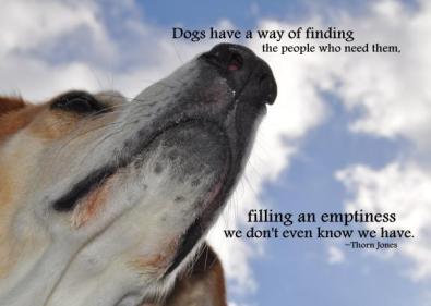 all-dogs-go-to-heaven-quote-jennifer-demeglio
