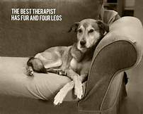 best therapist