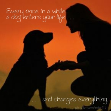dog-lover-quotes
