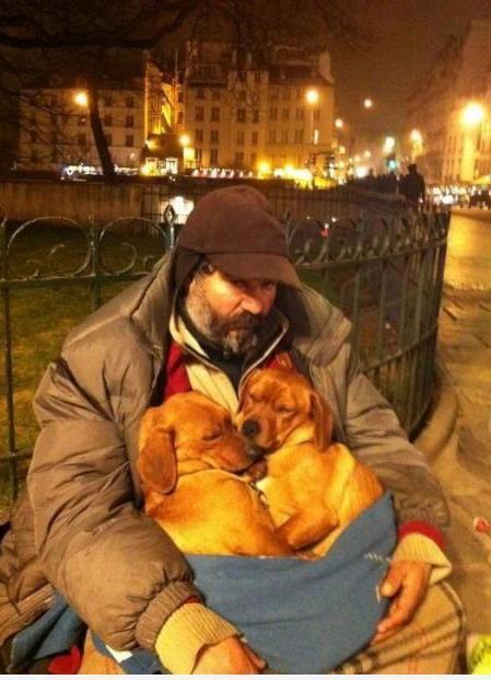 homeless-with-dogs