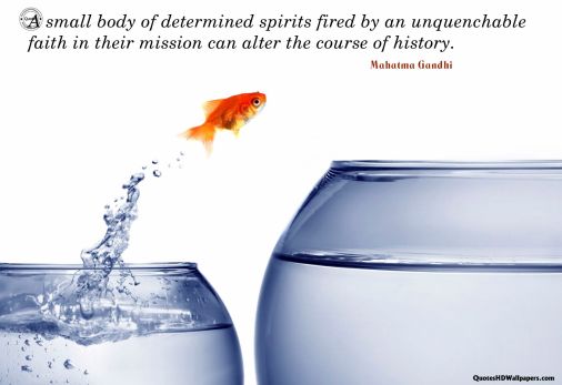 goldfish jumping out of the water