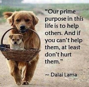 prime purpose